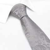 Classic Silver Paisley Silk Tie