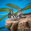 Kingfisher Cufflinks