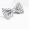 Pre-Tied Grey & Silver Striped Silk Bow Tie